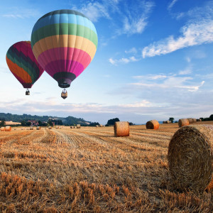 hot air balloons